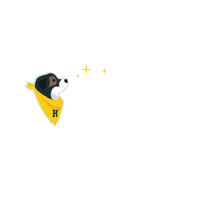 Hero Braces